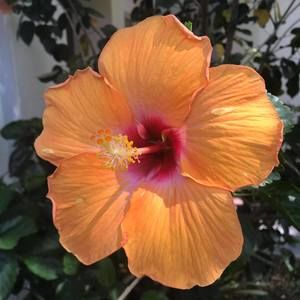 Meet your Posher, Marcela